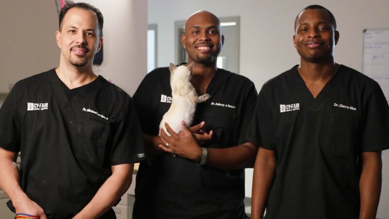 Ross, Lavigne and Blue pose for photos. – Bild: Photobank 34817_gen_019.jpg /​ Discovery Communications, Inc.