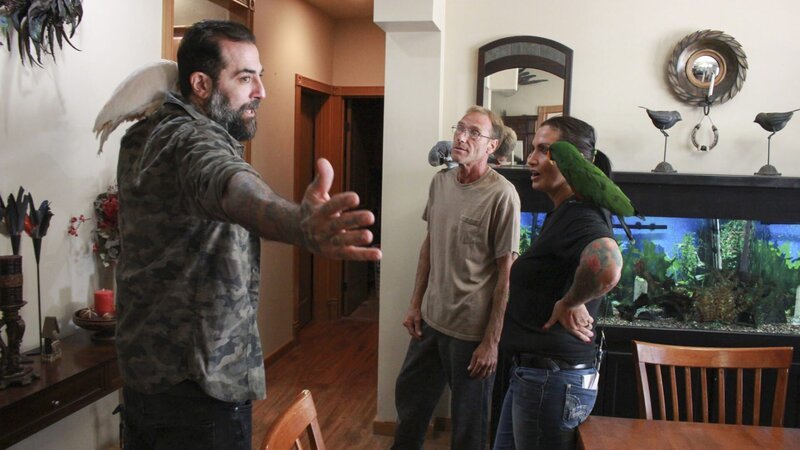 Antonio Ballatore talks to Steve and Sonya Brewer about the birds. – Bild: Animal Planet