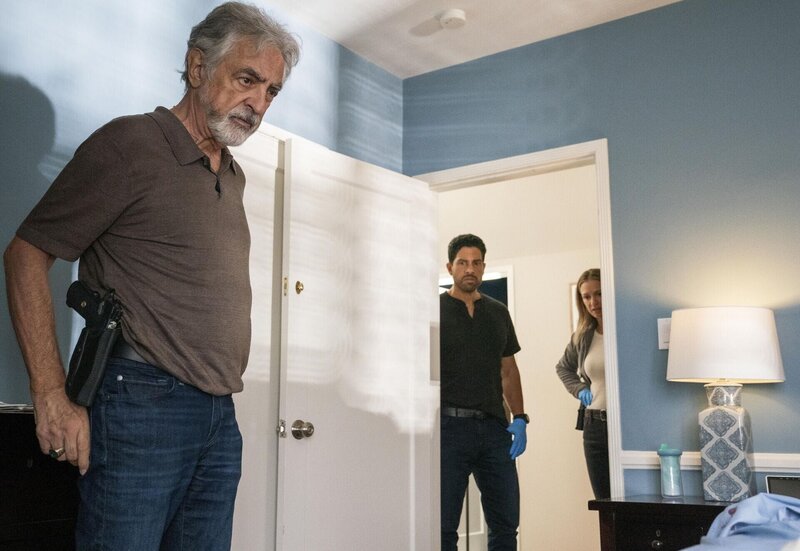 Wann Kommt Die 16 Staffel Von Criminal Minds Criminal Minds Staffel 16 Episodenguide – fernsehserien.de