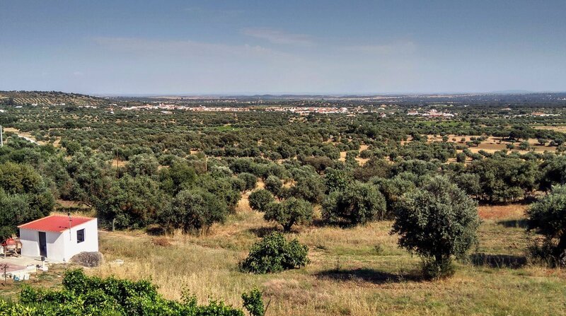 Landschaft mit Korkeichen und Olivenbäume im Alentejo. – Bild: ZDF und HR/​Algarve Tourism Bureau.