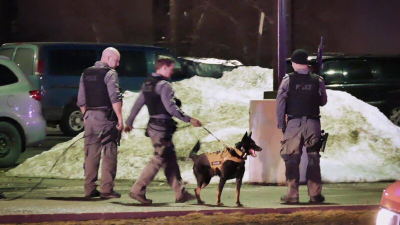Cops with a K-9 dog. – Bild: TLC