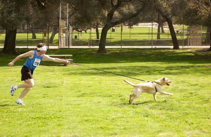 Damit Hal (Bryan Cranston) seinen Sohn Dewey nicht enttäuschen muss, dem er versprochen hat an einem Rennen teilzunehmen, spannt er einen Hund an die Leine. Das Chaos ist vorprogrammiert … – Bild: ViacomCBS