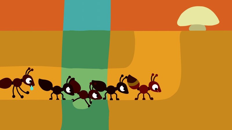 Animanimals S01E09: Ameise – fernsehserien.de