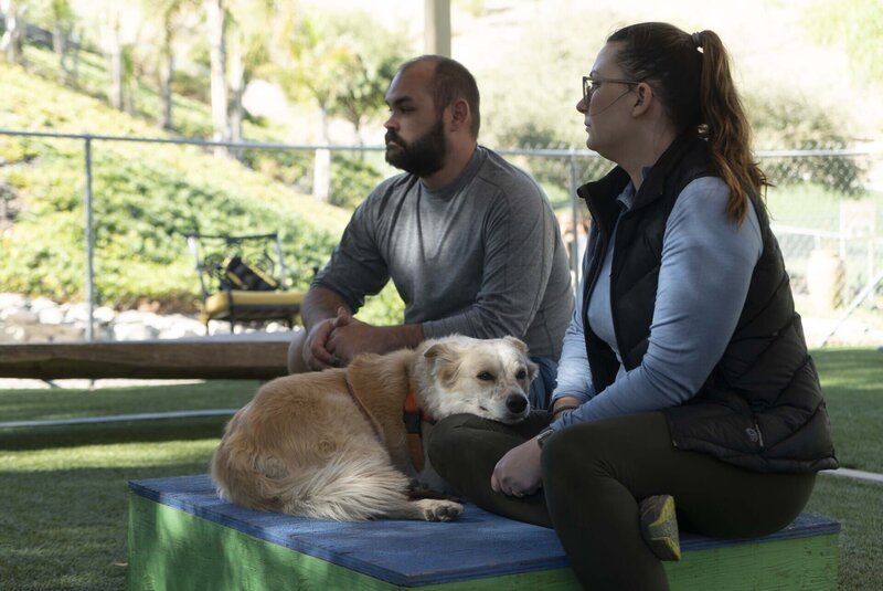 Amanda und Kyle unterhalten sich mit Cesar im Zentrum für Hundepsychologie. (National Geographic) – Bild: National Geographic Lizenzbild frei