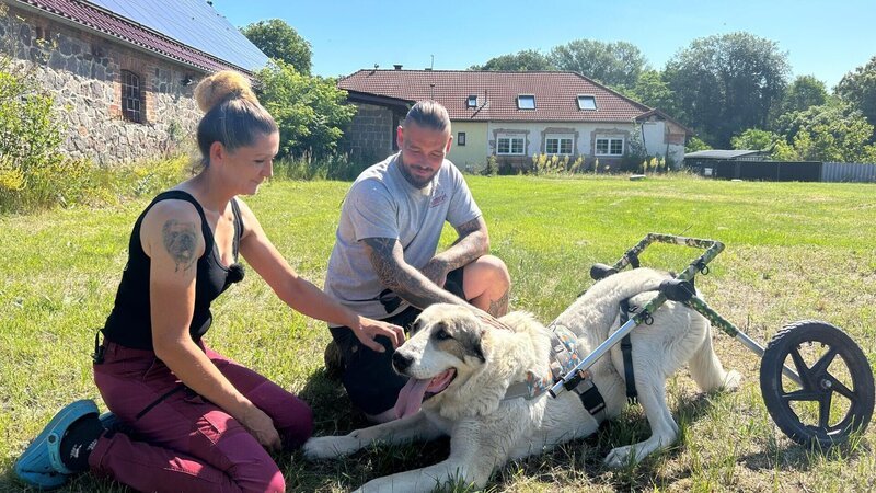 Stevie und Anka Purwin. +++ – Bild: RTL /​ Docma TV /​ Hilfe für Handicap-Hunde