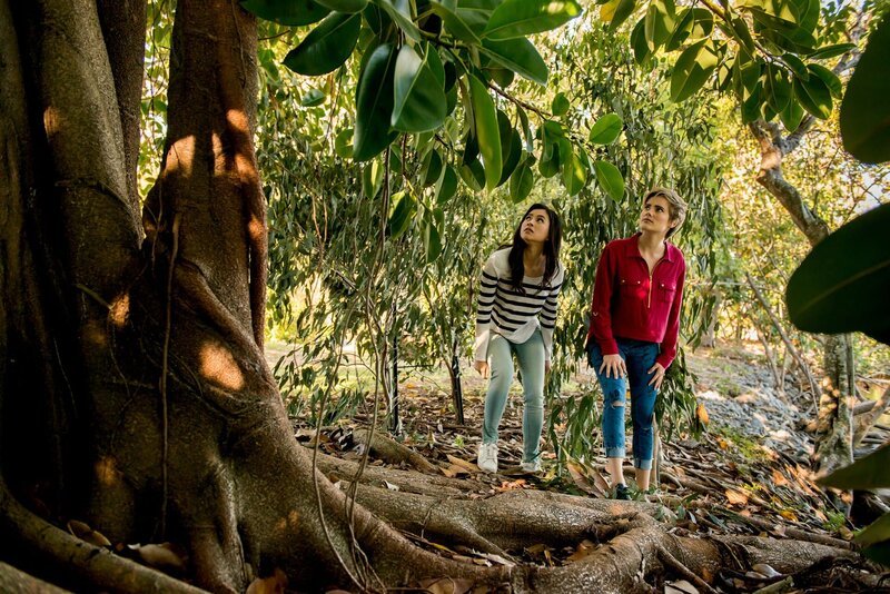 Imogen (Elizabeth Cullen links) und Kyra (Kimie Tsukakoshi rechts) haben den magischen Baum gefunden, sind aber von ihm gefangen worden, ehe sie ihn mit Zauberkraft beruhigen konnten. Nun müssen sie auf Hilfe warten. – Bild: ZDF/​Jonathan M. Shiff Productions/​Screen Queensland