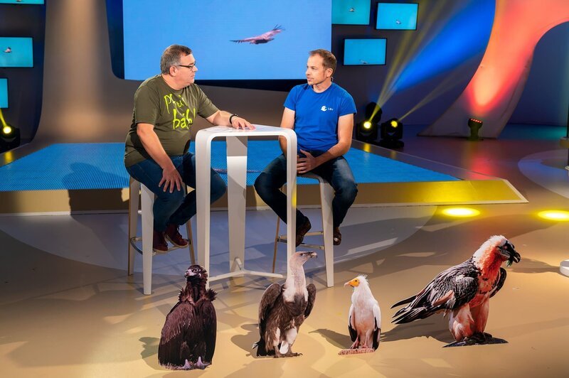 Geierexperte Toni Wegschneider zeigt Elton, dass die Vögel zu Unrecht einen schlechten Ruf haben. – Bild: ZDF/​Ralf Wilschewski