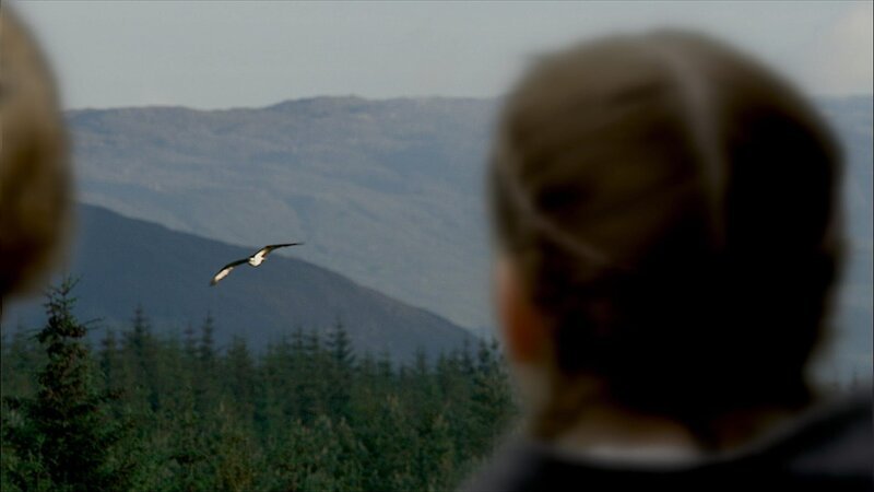 Die Kinder beobachten einen Seeadler bei der Jagd. – Bild: WDR/​Maramedia/​BBC/​CBeebies
