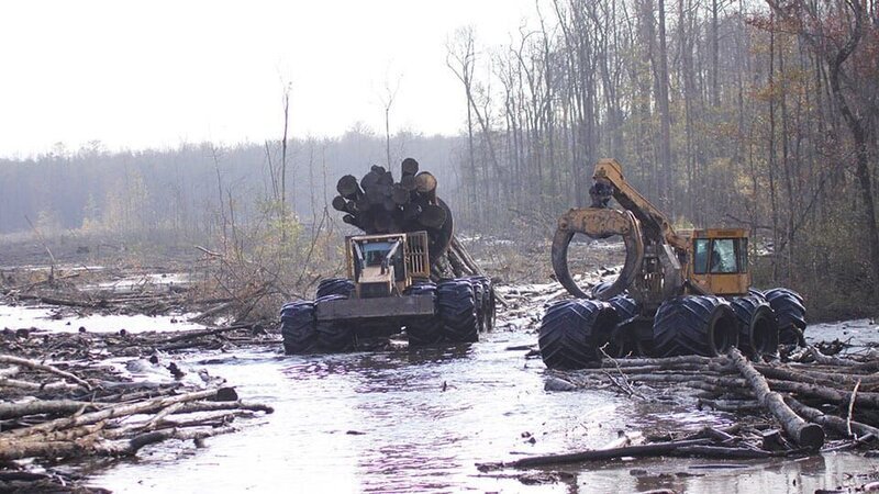 Two Clambunk Skidders at work. – Bild: Discovery Communications