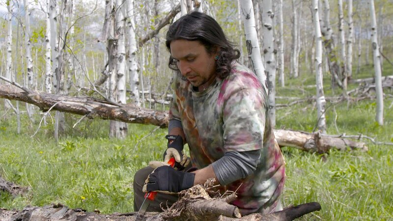 BJ Latta sägt einen umgestürzten Baumstamm. – Bild: Discovery Channel /​ Discovery Communications