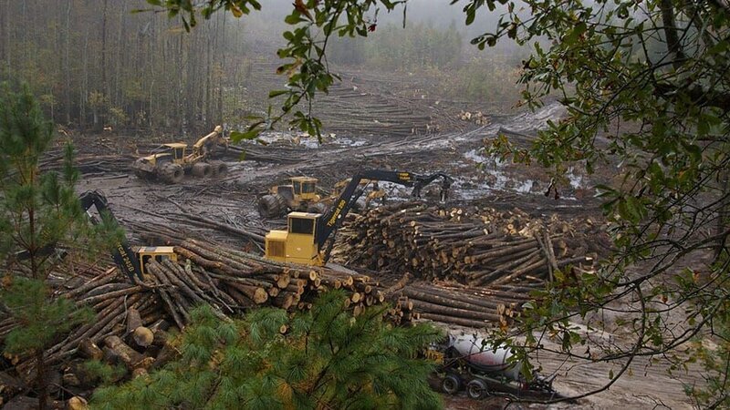 Wideshot of logging machines at work. – Bild: Discovery Communications