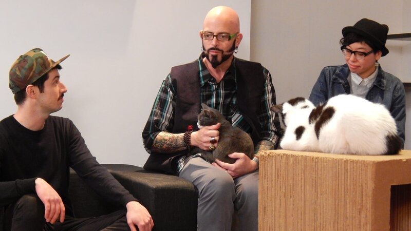 Jackson Galaxy petting a cat in the cafe with staff. – Bild: Discovery Communications