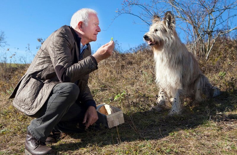 Urban Fuchs (Peter Bongartz) sammelt Kräuter mit seinem Hund Herrn Kaiser. – Bild: ARD/​Sabine Hackenberg