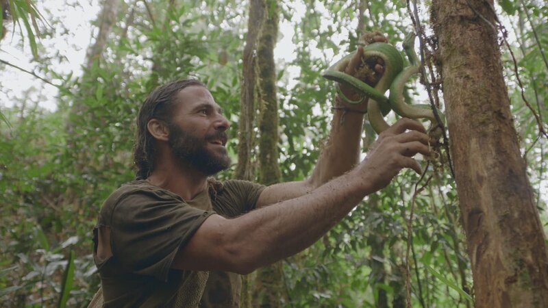 Hazen holding a green tree python in the jungle. (National Geographic/​Alex Holden) – Bild: Alex Holden /​ National Geographic/​Alex Holden /​ National Geographic