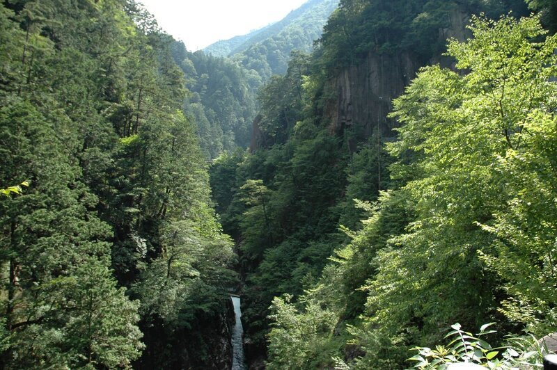 Japan, Forest and WaterfallGV; Forest and waterfall – Bild: ZDF und Richard Kirby