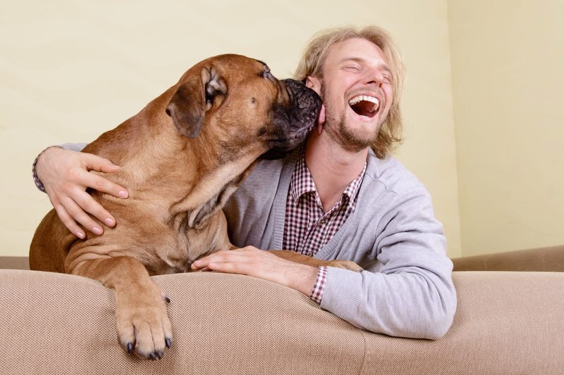 Stockfotografie Mann mit großem Hund: lizenzfreie Fotos – Bild: depsoitphotos