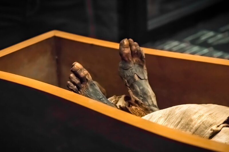 Legs of the ancient mummy in the sarcophagus, close-up – Bild: shutterstock