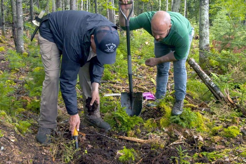 Oak Island Fluch und Legende S10E01 Eine neue Perspektive (On Their Marks) fernsehserien.de