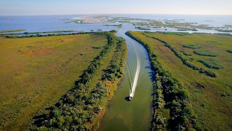 Roy Lambert mit dem Schnellboot auf dem Mississippi Delta. – Bild: SRF/​Prounen Film