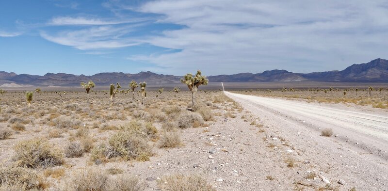 Ungepflasterte Straße, die zur Area 51, Nevada, führt – Bild: shutterstock