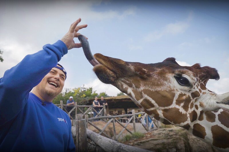 Mission: EAZ Rapper EAZ stellt sich seiner Tierphobie Staffel 1 Folge 3 Rapper EAZ schliesst Freundschaft mit einer Giraffe. SRF – Bild: SRF2