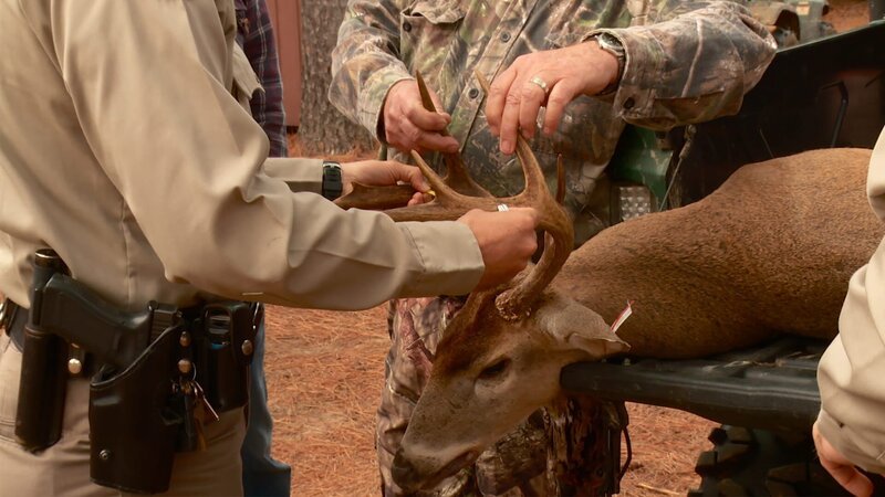 Jason Jones measures the distance between the dead buck’s antlers – Bild: Animal Planet /​ Photobank 35264_ep207_009.jpg /​ Discovery Communications