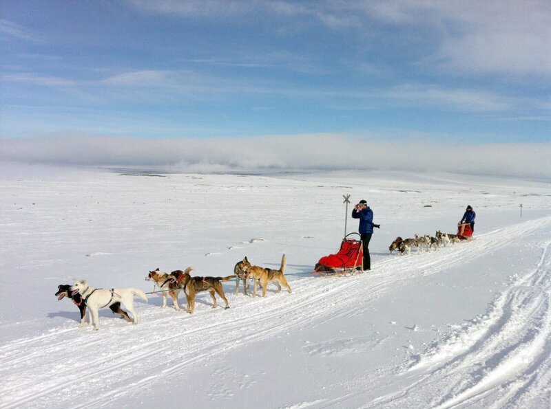 Von Kilpisjärvi in der Nähe von Kittliä, geht es mit dem Hundeschlitten über den sogenannten Arctic Trail bis an das Dreiländereck Schweden, Finnland und Norwegen. – Bild: SR/​André Prass