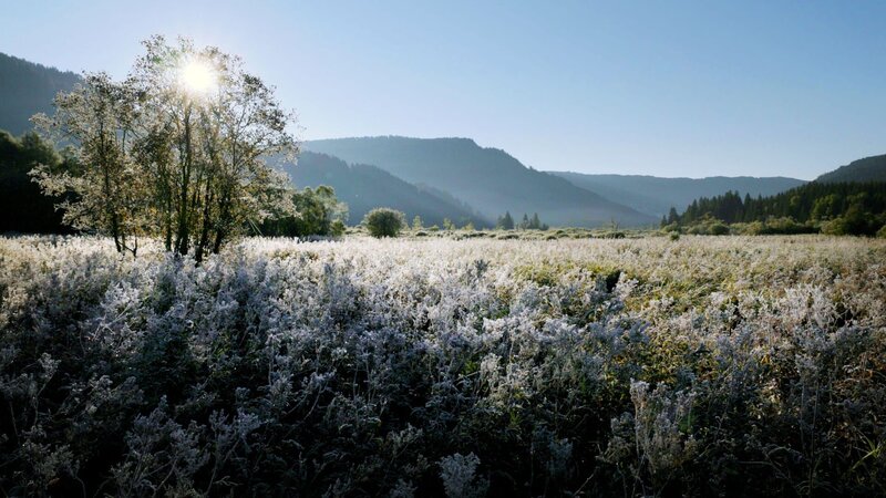 Geheimnisvolle Moorlandschaften – Bild: ZDF und ORF/​Posch TV Filmproduktion/​Franz Posch.