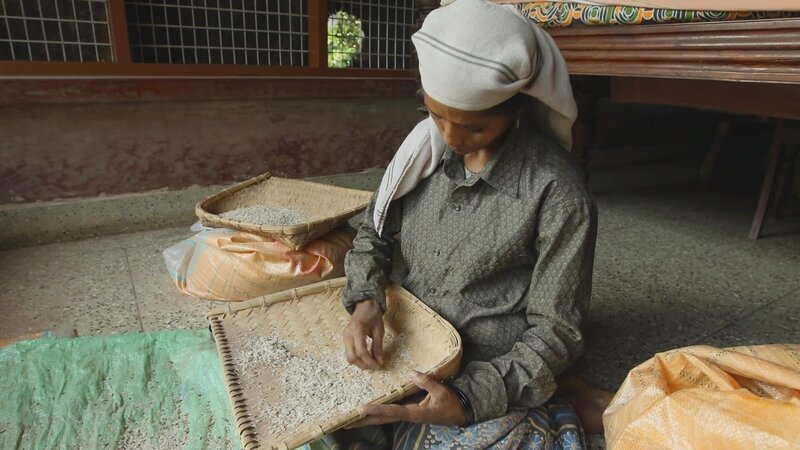 Reis ist eine der wichtigsten Zutaten der keralischen Küche. In Palakkad wird er von Hand geerntet und verlesen. – Bild: ZDF und Ampersand.