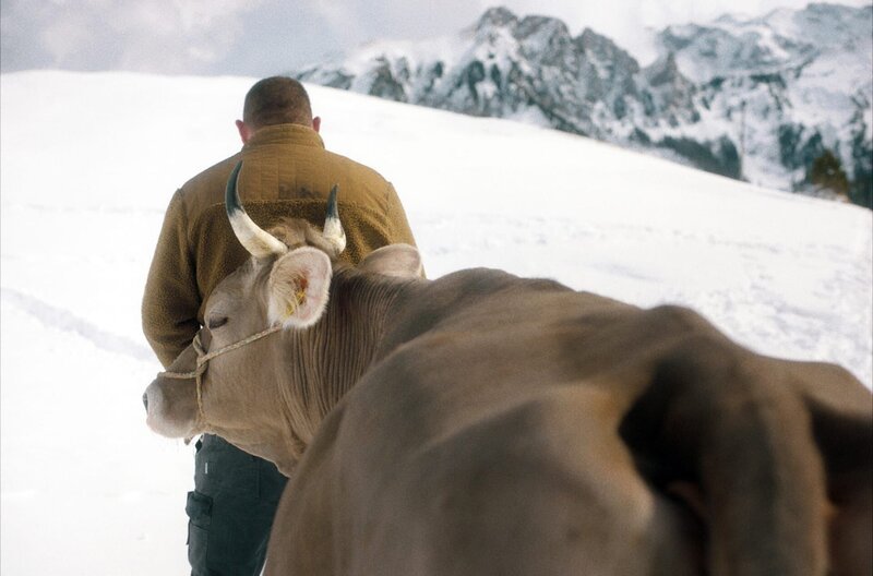 Marco (Simon Wisler) zieht für drei Winter in die Berge, um den Bauern zu helfen. – Bild: ARTE /​ © Hugofilm/​Armin Dierolf /​ © Hugofilm/​Armin Dierolf