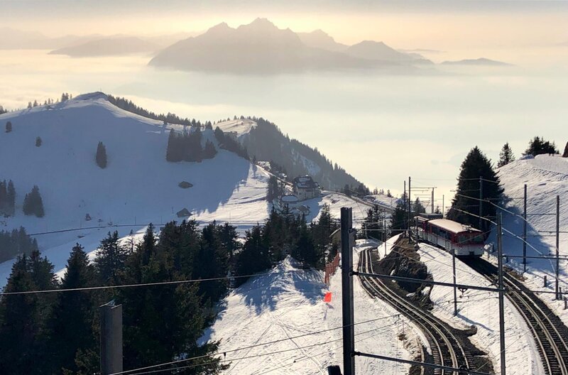 Zwei Bahnen auf einem Berg: im Schnee zeichnen sich die Gleise der Vitznau- und der Arth-Rigi-Bahn besonders deutlich ab. – Bild: SWR/​Kirsten Ruppel