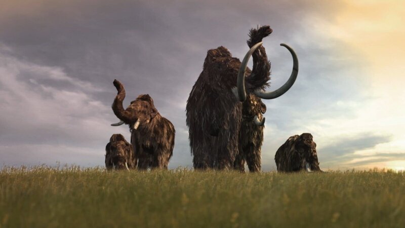 Die letzten Mammuts verschwanden erst vor 4000 Jahren von der Bühne des Lebens. – Bild: ZDF und Joachim Seck