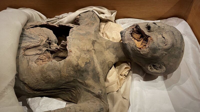 Die Mutter von Tutanchamun starb im Alter von nur 25 Jahren. Könnte sie ermordet worden sein? – Bild: ZDF und Sandstone Global Productions Ltd../​Sandstone Global Productions Ltd