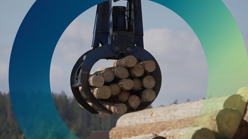Holz gilt als Rohstoff der Zukunft. Im Bausektor soll er klimaschädlichere Stoffe wie Beton und Stahl zunehmend ersetzen. – Bild: ZDF und Benedikt Meisenberger./​Benedikt Meisenberger