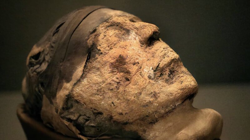 Eine DNA-Analyse soll erstmals Aufschluss darüber geben, wer die bestattete Person ist, deren Kopf hier mumifiziert wurde. – Bild: ZDF und © Wes Dorman./​© Wes Dorman