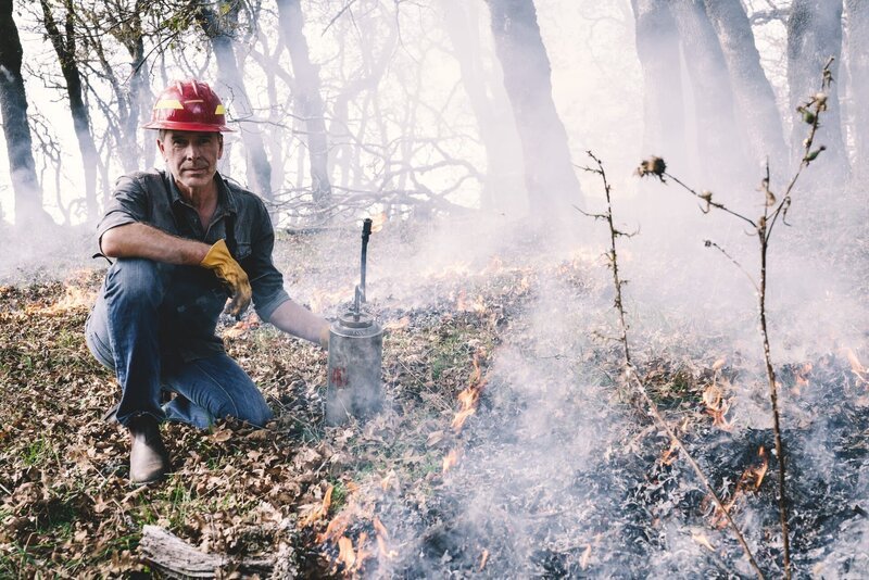 Feuer mit Feuer bekämpfen: Dirk Steffens zeigt, wie mit absichtlich gelegten Feuern verheerende Wildfeuer verhindert werden können. – Bild: ZDF und Oliver Roetz./​Oliver Roetz