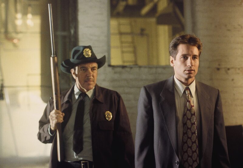 Der FBI-Agent Mulder (David Duchovny, r.) und ein Ranger (Michael MacRae, l.) des Nationalparks von Jersey machen eine erschreckende Entdeckung … – Bild: 1993 Twentieth Century Fox Film Corporation. All rights reserved. Lizenzbild frei