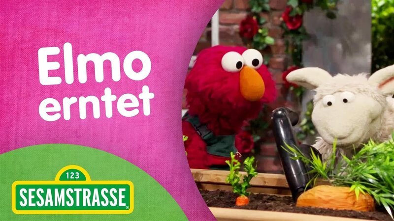 Elmo erntet – Bild: NDR/​Studio Hamburg Produktion/​Sesame workshop