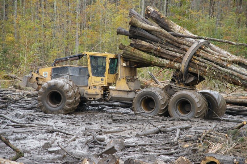 Clambunk Skidder pulling logs through the swamp. – Bild: Copyright: Discovery Communications, Inc. For Show Promotion Only