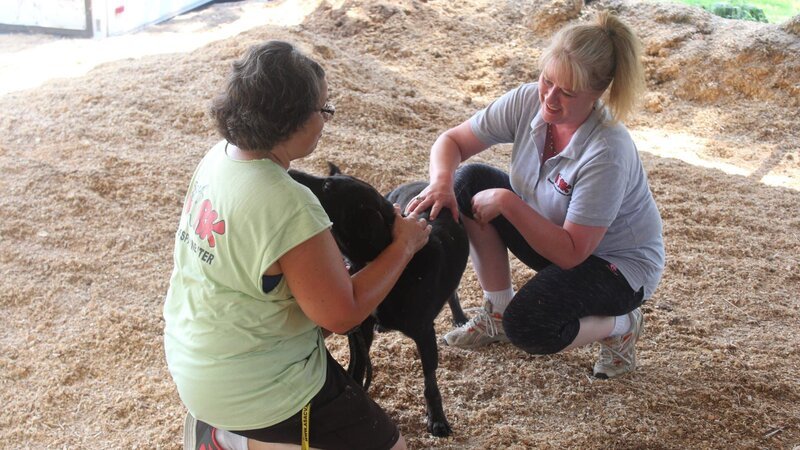 BARK employees petting adoptive pup. – Bild: Animal Planet /​ Photobank 35027_ep101_053.JPG