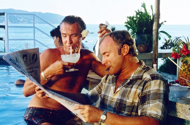 Buster – Bild: The Movie Group/​NFH Productions/​Buster Productions /​ © The Movie Group/​NFH Productions/​Buster Productions