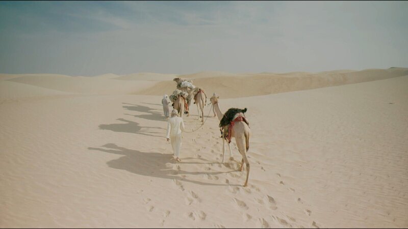 Kamele und Kamelführer in der der Wüste der Vereinigten Arabischen Emirate. – Bild: RTL /​ © Atlantic Productions 2018