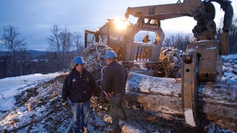 Rudy Pelletier talks with the operator of a grapple skidder on a worksite at the Pelletier’s vast logging operation in Northern Maine. – Bild: Discovery Communications LLC.