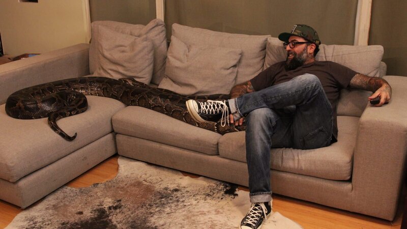 Host Antonio Ballatore sits on the couch with the large python. – Bild: Discovery Communications, LLC/​Tim Ronca/​Tim Ronca
