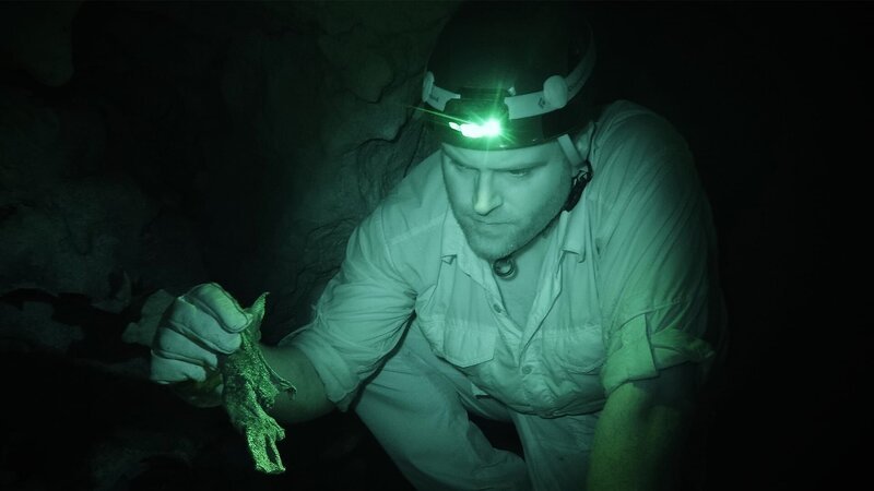 Josh discovers a chunk of scaly skin in a cave in Barceloneta, Puerto Rico. – Bild: Discovery Channel