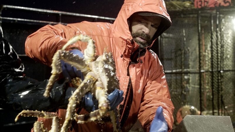 Deckhand Matt Bradley helps to sort king crab on the Saga. – Bild: Discovery Communications, LLC