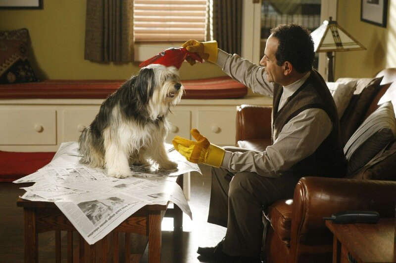 Monk (Tony Shalhoub) kümmert sich liebevoll um den von ihm adoptieren Hund Shelby. Wenn da nur nicht die lästigen Hundehaare wären … – Bild: RTLplus
