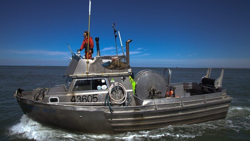 Captain Luke Swab steering the Jimmy Jeff. – Bild: Discovery Communications