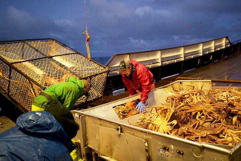 The Northwestern crew sorts their Opie catch. – Bild: Discovery Channel /​ Discovery Communications, LLC