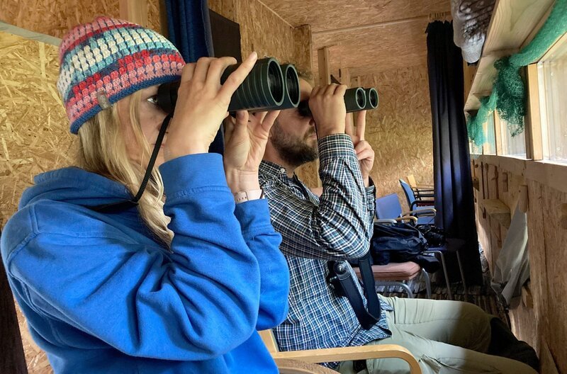 Triin Asi und Bert Rähni in ihrer Bärenbeobachtungshütte im Alutaguse-Nationalpark – Bild: Jeannine Apsel /​ Triin Asi und Bert Rähni in ihrer Bärenbeobachtungshütte im Alutaguse-Nationalpark